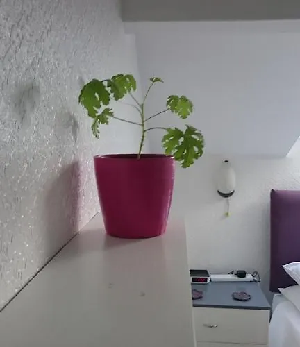 Lyndhurst Guest house