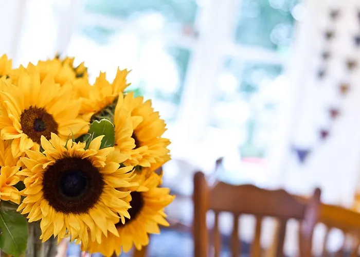 Gæstehus Lyndhurst 3*