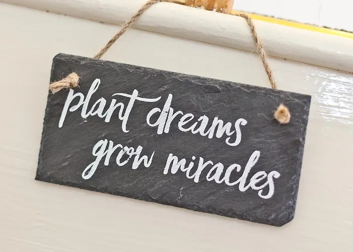 Lyndhurst Guest house