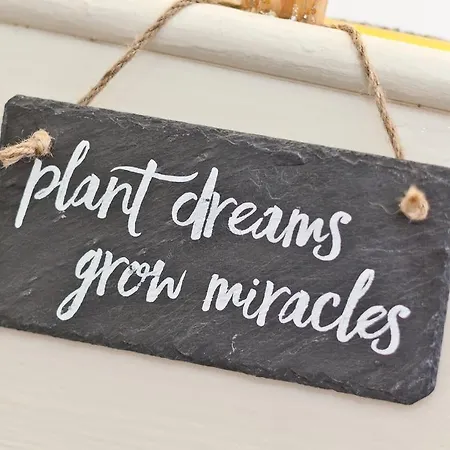 Lyndhurst Πανσιόν